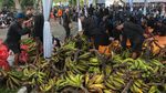 Ribuan Warga Baduy Turun Gunung, Gelar Tradisi Seba di Serang