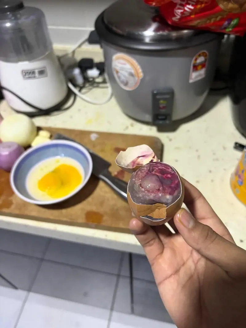Shock! Pecahin Telur, Isinya Bukan Kuning Tapi Embrio Bergerak