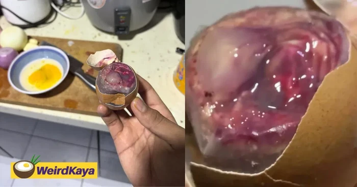 Shock! Pecahin Telur, Isinya Bukan Kuning Tapi Embrio Bergerak