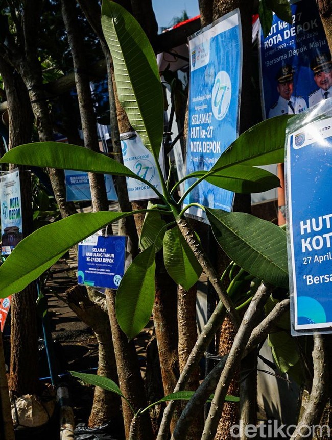 Bibit Pohon Gantikan Karangan Bunga di HUT Ke-27 Kota Depok