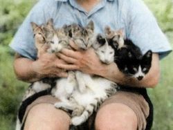 Foto-foto Jadul Ini Ternyata Simpan Cerita yang Bikin Melotot!