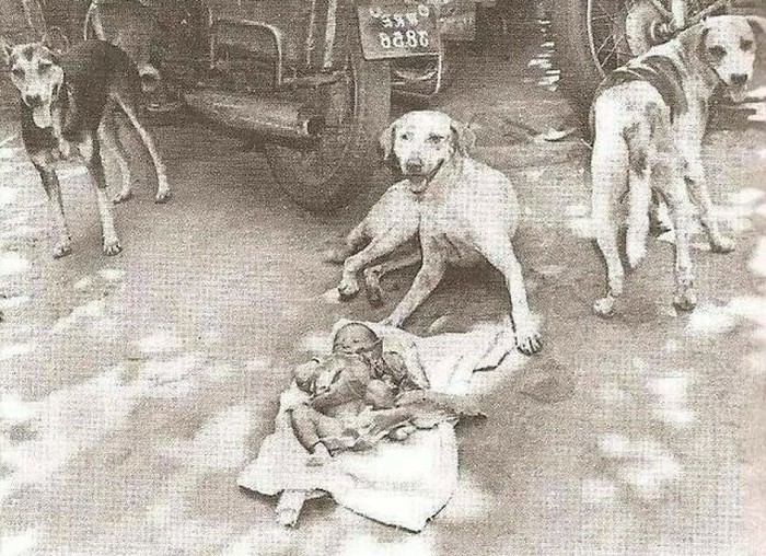 Foto-foto Jadul Ini Ternyata Simpan Cerita yang Bikin Melotot!