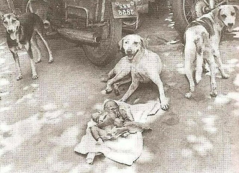 Foto Jadul Fakta Bikin Belotot