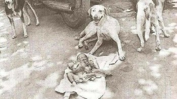 Pada tahun 1996, seorang bayi perempuan yang baru lahir ditinggalkan di tempat sampah dekat kota Kolkata, India. Tiga anjing jalanan yang ramah menemukan dan melindunginya selama hampir dua hari, bahkan mencoba memberi makan bayi tersebut sebelum pihak berwenang dihubungi dan bayi itu diselamatkan. Foto: Boredpanda