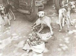 Foto-foto Jadul Ini Ternyata Simpan Cerita yang Bikin Melotot!