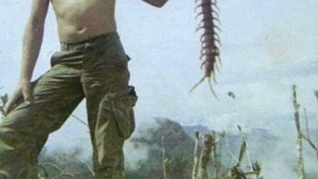 Seorang tentara AS memamerkan kelabang raksasa Scolopendra subspinipes saat Perang Vietnam, 1967. Meski terlihat sangat besar, ukurannya tampak lebih ekstrem karena posisi lebih dekat ke kamera—tentara itu sebenarnya tidak menyentuhnya langsung. Foto: Boredpanda