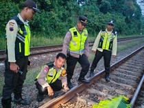 Pria Tanpa Identitas Tewas Tertabrak Kereta di Batang Jateng