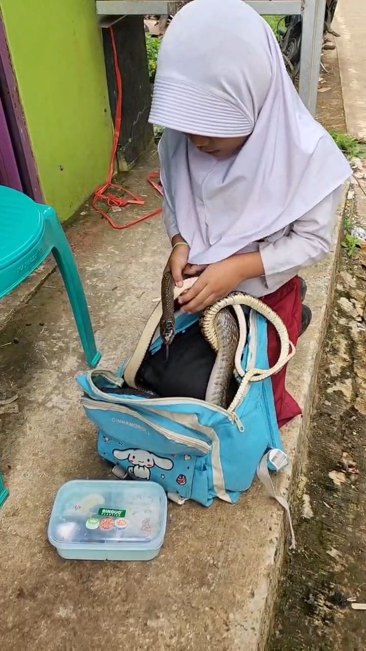 Meisa alias Caca bermain dengan ular.