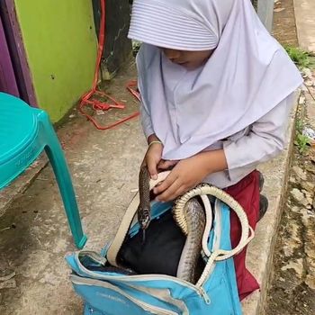 Meisa alias Caca bermain dengan ular.