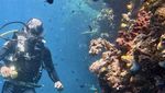 Potret Puteri Indonesia Pariwisata 2026 Karina Moudy Liburan di TN Komodo-Kawah Ratu