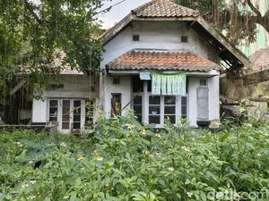 Video Rumah Hutan Wastukencana: Cerita Liar di Halaman yang Terlupakan