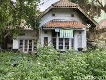 Video Rumah Hutan Wastukencana: Cerita Liar di Halaman yang Terlupakan