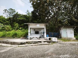 Kawanan Monyet Serbu Sukorejo Semarang, Diusir Pakai Ketapel-Mercon