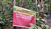 Tips Aman Jalan Kaki di Tengah Hutan Belantara Sulawesi