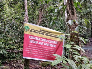 Tips Aman Jalan Kaki di Tengah Hutan Belantara Sulawesi