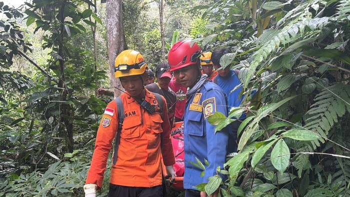 Tim SAR mengevakuasi Indo Rampa (51) yang ditemukan selamat usai hilang 4 hari di hutan Battang Barat.