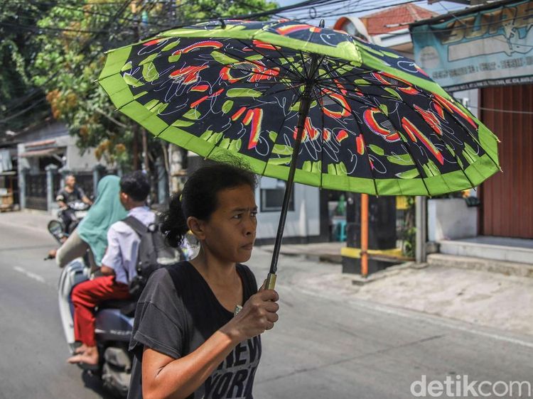 Waspada El Nino Ekstrem Godzilla di Jakarta