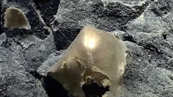 Bola emas misterius