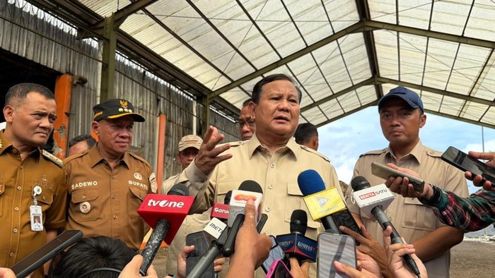 Presiden Prabowo Subianto (Eva/detikcom)