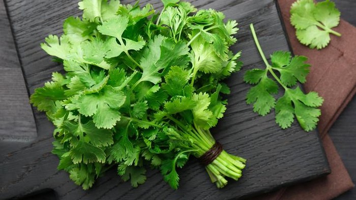 6 Tips Menyimpan Daun Ketumbar agar Segar Lebih Lama