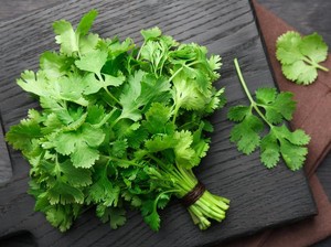 6 Tips Menyimpan Daun Ketumbar agar Segar Lebih Lama