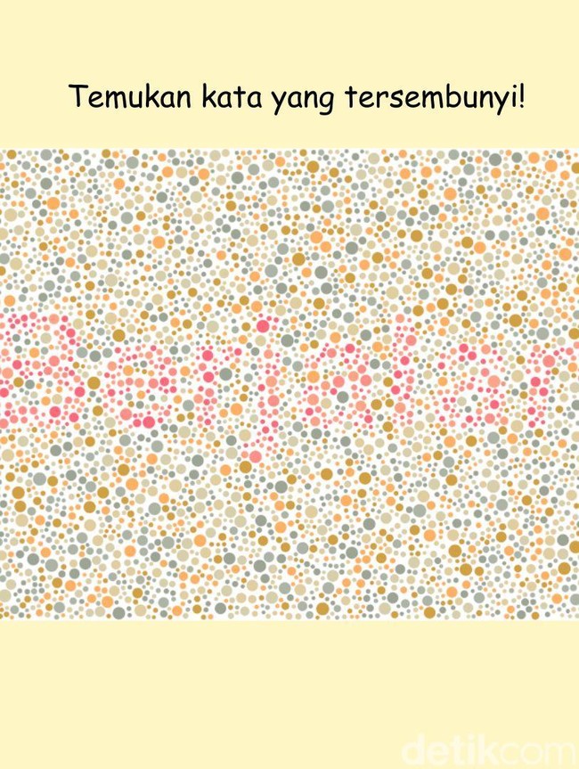 Kalau Tidak Buta Mata Harusnya Mudah, Coba Tes Ketajaman Penglihatan di Sini