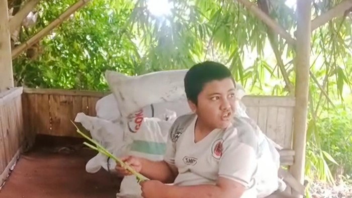 bocah di kbb yang suka mengonsumsi dedaunan