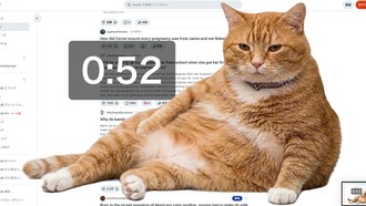 Cara Pasang Cat Gatekeeper, Kucing Oren yang Tutupi Layar biar Setop Scrolling