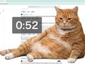 Cara Pasang Cat Gatekeeper, Kucing Oren yang Tutupi Layar biar Setop Scrolling