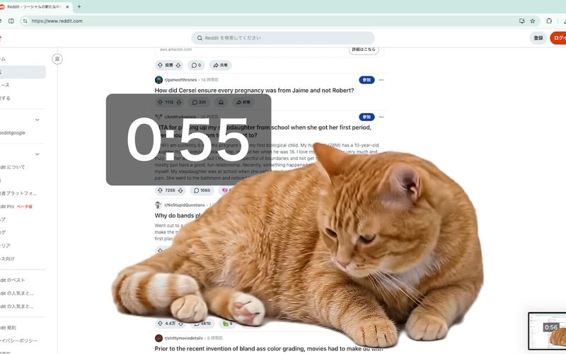 Cat Gatekeeper menutupi layar saat timer berjalan.