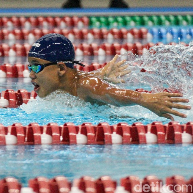 Final Renang Kejurnas Akuatik 2026 Jadi Ajang Unjuk Kualitas Atlet Daerah