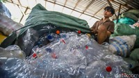 Bagi para pemulung, kondisi ini menjadi peluang untuk meningkatkan penghasilan harian. Banyak dari mereka kini lebih selektif dalam mengumpulkan sampah, dengan fokus pada jenis plastik bernilai tinggi seperti PET dan HDPE. Nilai jual yang lebih tinggi memberi harapan baru di tengah tekanan ekonomi.