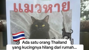 Ada orang di Thailand yang kehilangan kucing. Foto: The ภาระ/Instagram @cicibangkokk
