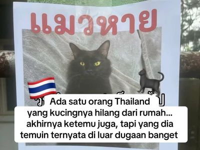 Orang Ini Kucingnya Hilang, Pas Ketemu Ada Banyak Kejanggalan