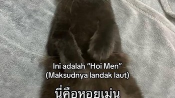 Namanya Hoi Men, atau artinya Landak Laut. Foto: The ภาระ/Instagram @cicibangkokk