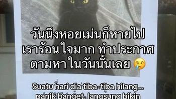 Saat hilang, orang itu panik dan bikin pengumuman di hari yang sama. Foto: The ภาระ/Instagram @cicibangkokk