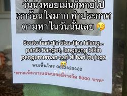 Orang Ini Kucingnya Hilang, Pas Ketemu Ada Banyak Kejanggalan