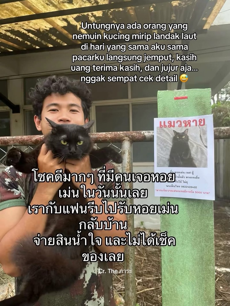 Ada satu orang di Thailand yang kehilangan kucing. Setelah dia cari, akhirnya ketemu. Akan tetapi, ada yang aneh dari kucing yang dia temukan.