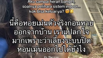 Ini foto asli si Landak Laut. Perhatikan ya, detikers. Foto: The ภาระ/Instagram @cicibangkokk