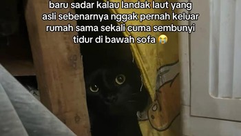 Makin plot twist, Landak Laut yang asli justru ketemu di dalam rumah. Foto: The ภาระ/Instagram @cicibangkokk