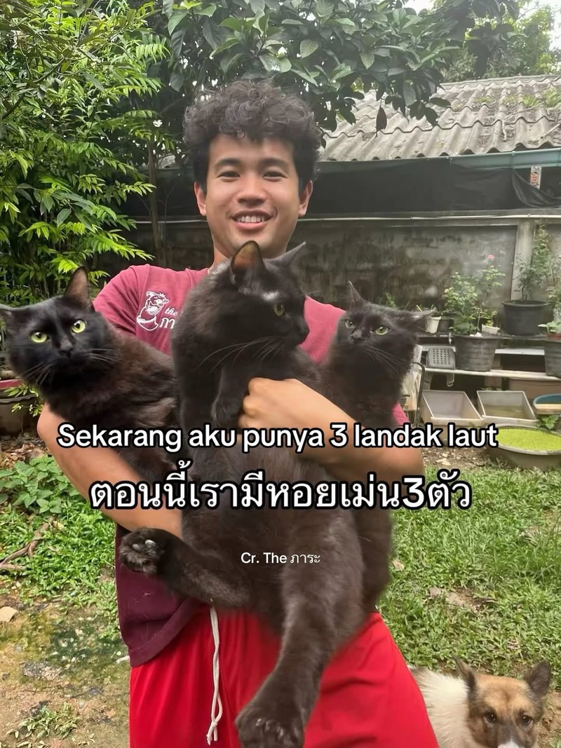 Ada satu orang di Thailand yang kehilangan kucing. Setelah dia cari, akhirnya ketemu. Akan tetapi, ada yang aneh dari kucing yang dia temukan.