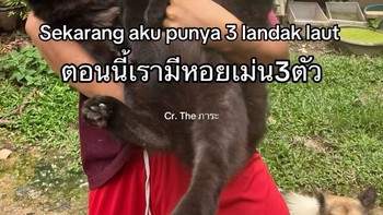 Akhirnya, orang ini jadi punya tiga kucing. Well, well... Foto: The ภาระ/Instagram @cicibangkokk