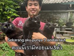 Orang Ini Kucingnya Hilang, Pas Ketemu Ada Banyak Kejanggalan