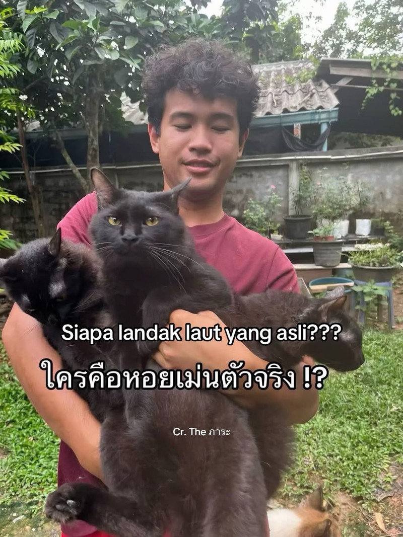 Ada satu orang di Thailand yang kehilangan kucing. Setelah dia cari, akhirnya ketemu. Akan tetapi, ada yang aneh dari kucing yang dia temukan.