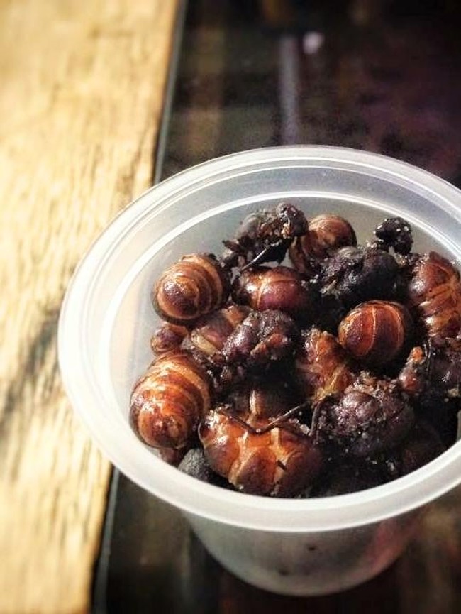 8 Makanan Tak Biasa di Dunia, Ada Semut hingga Buaya Goreng Tepung