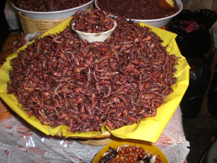 8 Makanan Tak Biasa di Dunia, Ada Semut hingga Buaya Goreng Tepung