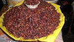 8 Makanan Tak Biasa di Dunia, Ada Semut hingga Buaya Goreng Tepung