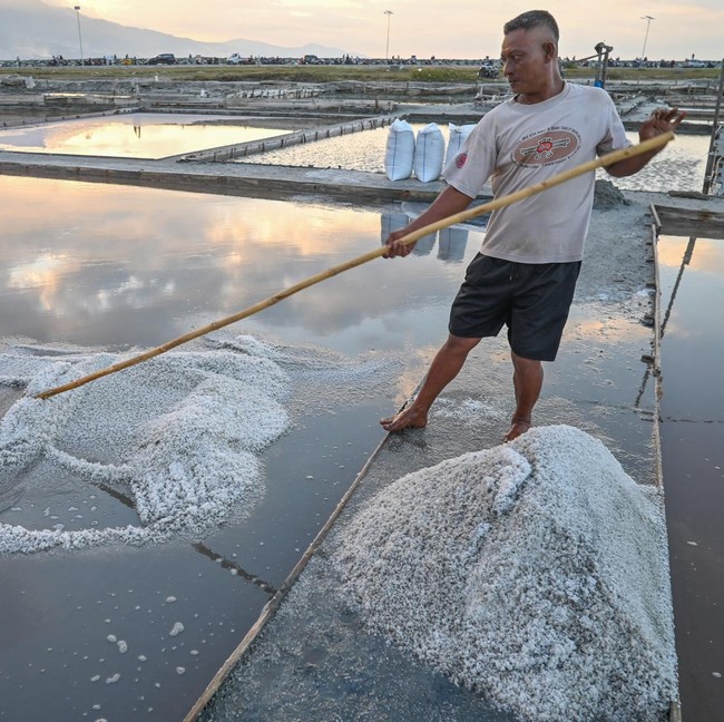 Panen Garam Kembali Bergeliat di Palu