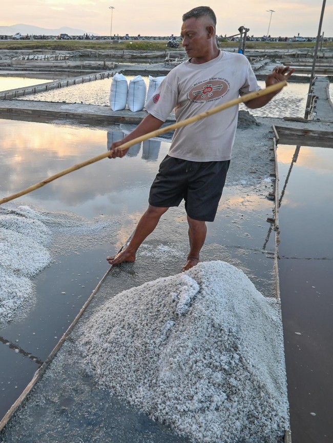 Panen Garam Kembali Bergeliat di Palu
