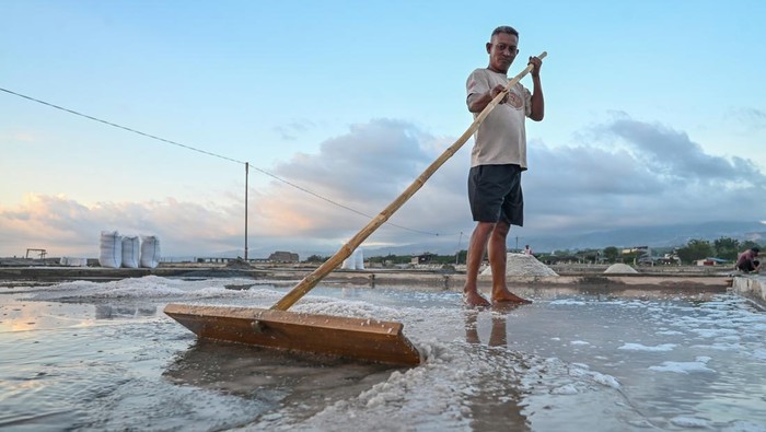 Petambak memanen garam di kawasan penggaraman Talise, Palu, Sulawesi Tengah, Selasa (28/4/2026). Petambak setempat kembali memanen garam seiring membaiknya kondisi cuaca setelah lebih dari empat bulan tidak berproduksi akibat tingginya curah hujan. ANTARA FOTO/Basri Marzuki/wsj.